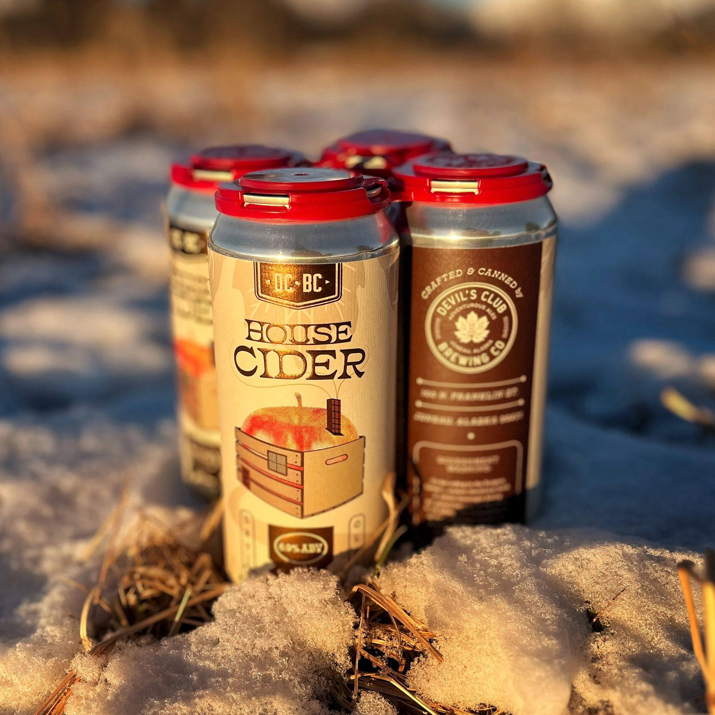 Adventurous Ales — Devil's Club Brewing Company | Brewpub in